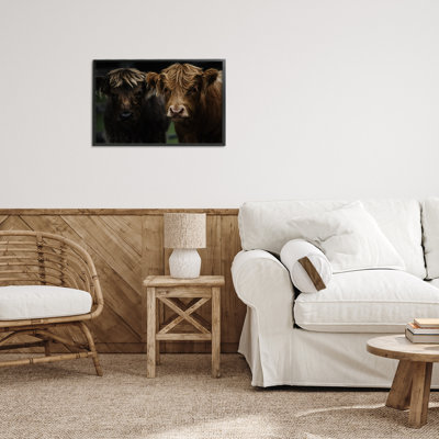 Cow Faces Highland Pair Framed Giclee, design by Amy Carroll