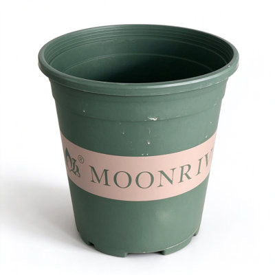 Pot de chambre de bébé vert en plastique avec soucoupe - pot de gallon, 7,1 x 5,9 x 5,9 po