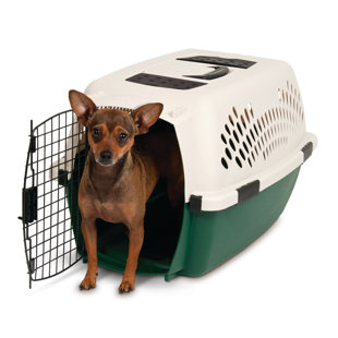 Plastic Pet Carrier with 1 Door
