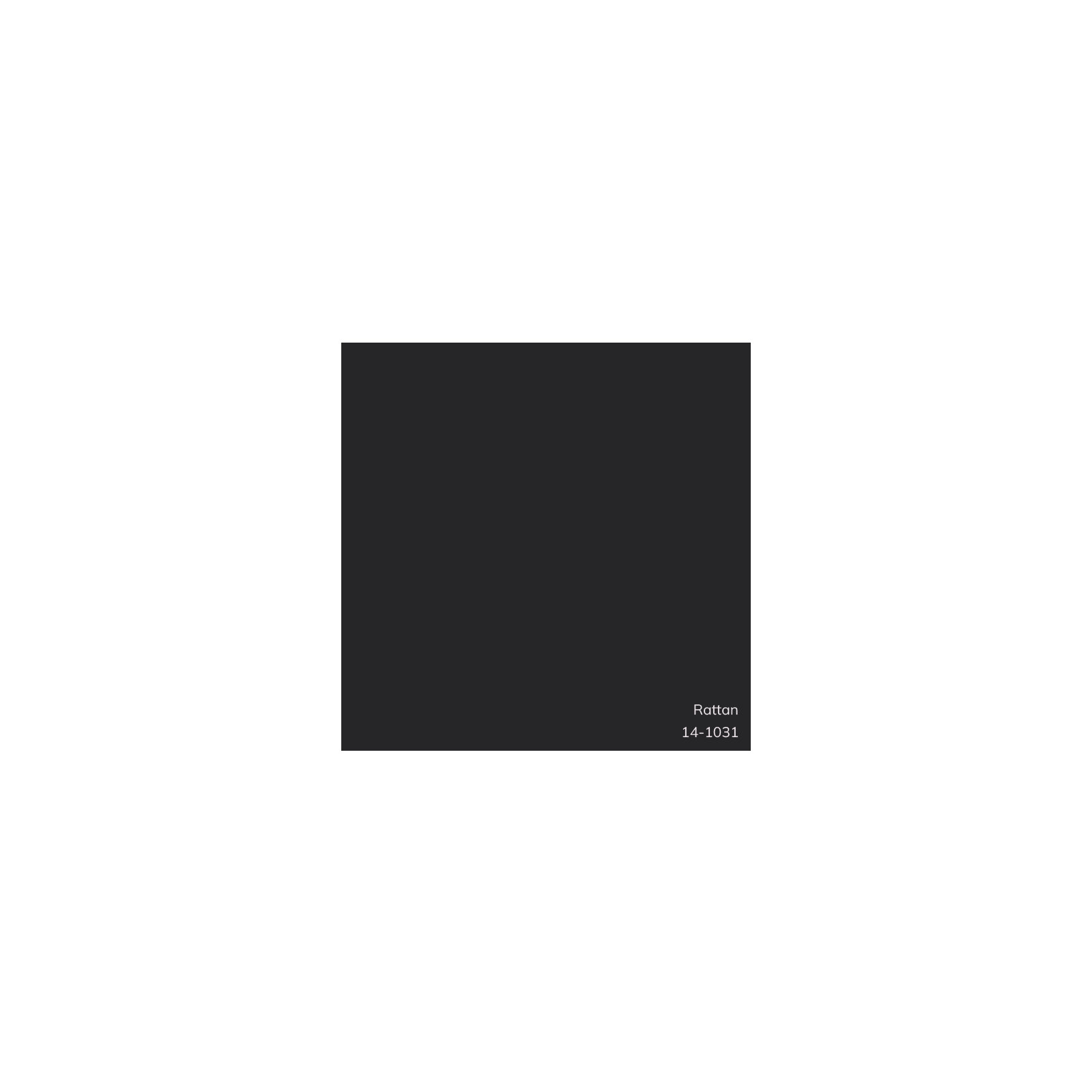 Denny Velvet Throw Pillow , Down, Black, Square 18"