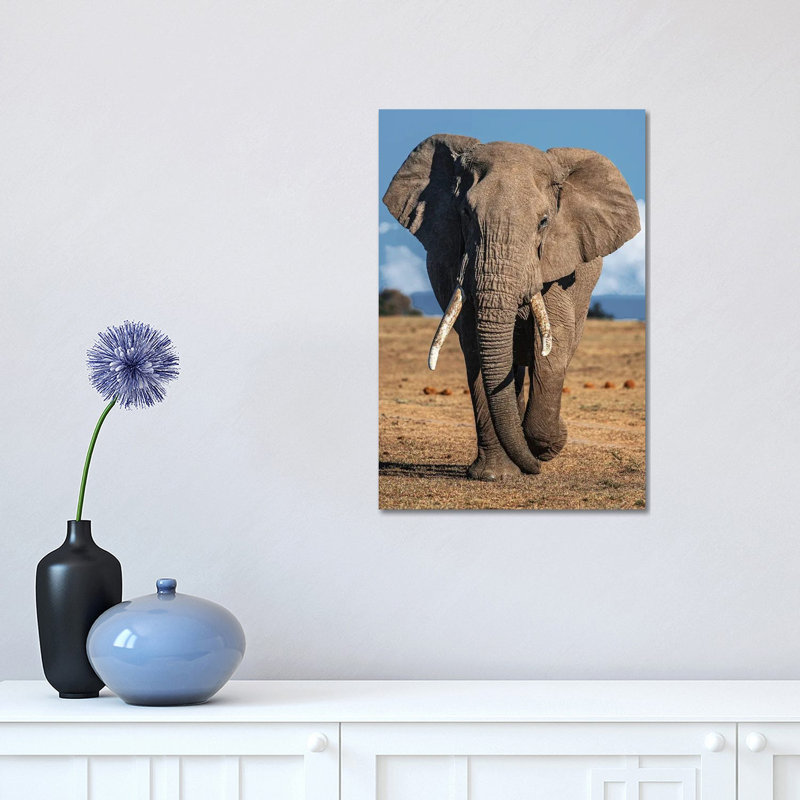 Elephant 1 Piece Wrapped Canvas Wall Art