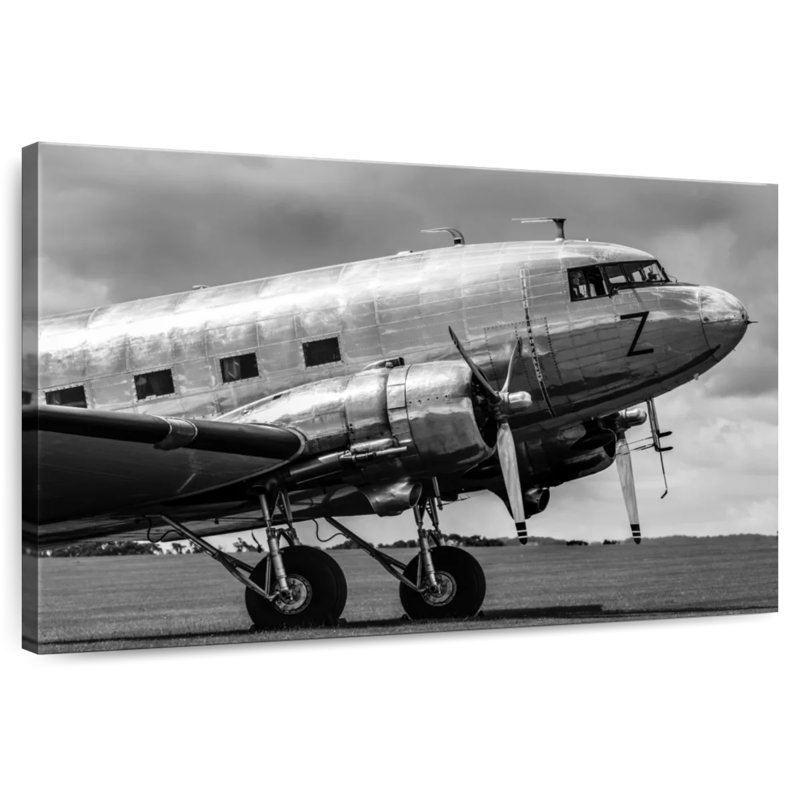 Mehar Black And White Aircraft