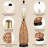 Alisme USB Table Lamp