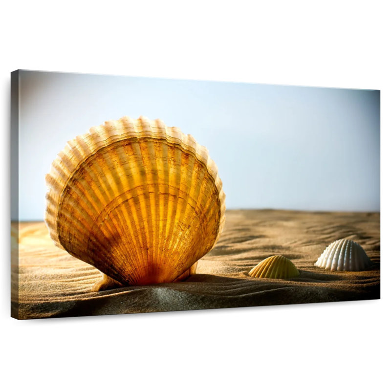 Aletra Sand Seashells, 20" H x 30" W