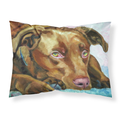  Taie d'oreiller Labrador
