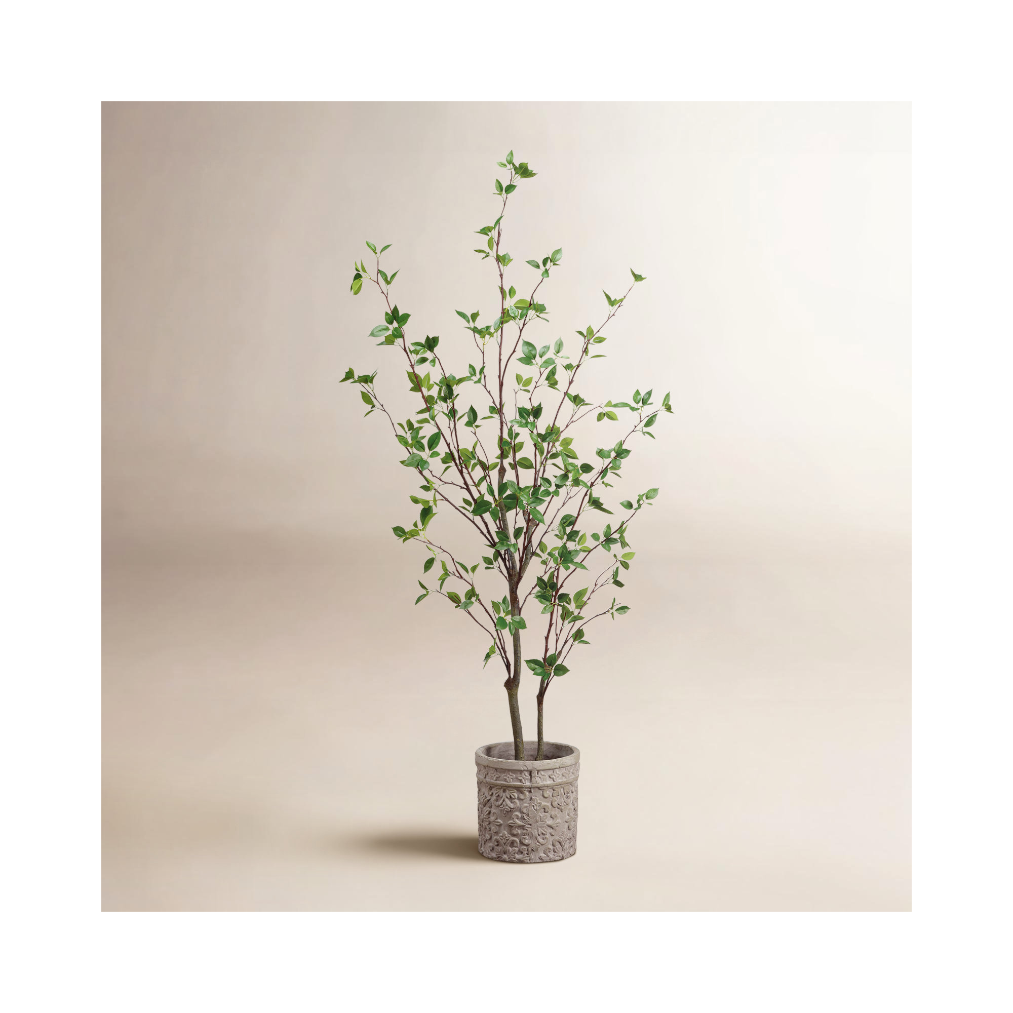 60'' Faux Ficus Tree in Cement Pot
