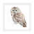 White Framed Paper n'est pas disponible