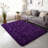 4x6 ft Grape Purple Shag Area Rugs for Living Room, Non-Slip Indoor Modern Plush Shag Carpets-1976227529