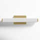 Erby Single Light Glass Aluminum Dimmable LED Flush Mounted Sconce