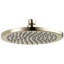 Essential™ Round Raincan Showerhead-51914084-52209031