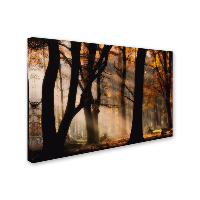 « automne light », reproduction de photo sur toile tendue, 16 po x 24 po