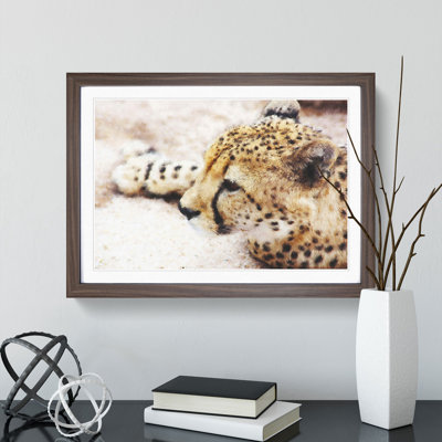 Cheetah Vol.1 - Framed Print