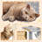 Dainel Multi-Level Cat Tree-75188475
