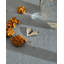 Nut Splitter Stainless Steel Nutcracker by LPWK - Jim Hannon-Tan