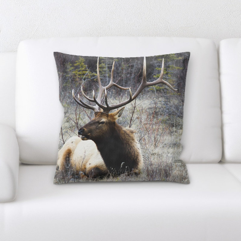 Microsuede Throw Pillow