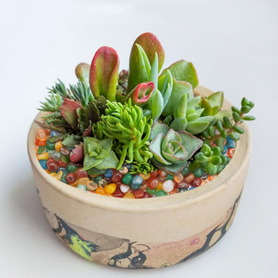 Landscaping Pebbles, River Rocks Decorative Ornamental Pebbles Garden Landscaping Stones, DIY Smoothed Rocks For Potted Plant Resin Art Vase Fillers Aquarium Gravel Rocks (1 Pound, Colourful)