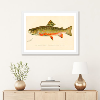 " The Brook Trout "