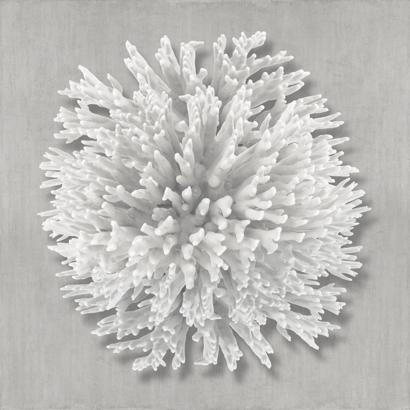 Coral On Gray I by Caroline Kelly - Wrapped Canvas Print, 91cm H x 91cm W