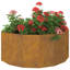 Planter Box-1713695293-1713695266