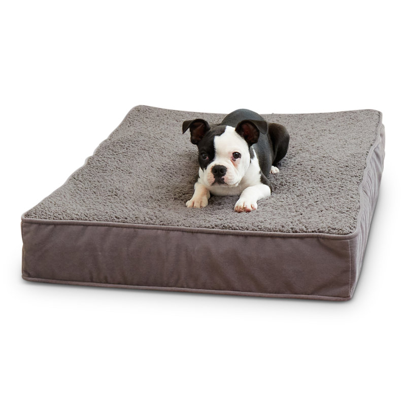 Lit orthopédique pour chien Lind Stockholm, Petit (l 36 po x P 24 po x H 4 po), gris