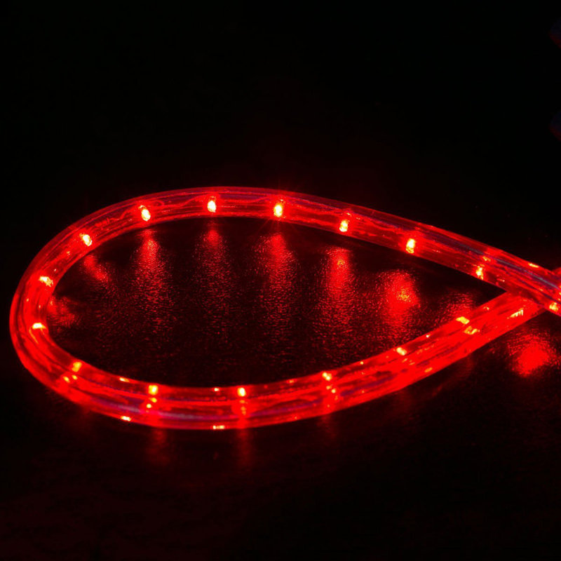 Cordon lumineux à DEL, 100 pi, Rouge, 91