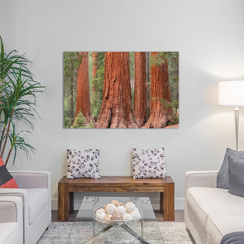 Mariposa oliveraies, reproduction de photo sur toile tendue, H 18 po x l 26 po x P 1,5 po, Toile avec cadre noir