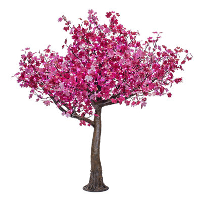 Érable, feuilles rouges, arbres éclairés et branches