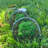 Preserved Moss Paperweight Art