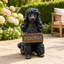 Statue de jardin en résine représentant un caniche, peinte à la main, de 36,6 cm (14,4 pouces), avec lumière solaire et panneau de bienvenue double face.-1908671056