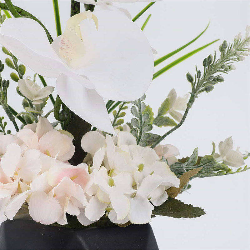 Roudy Arrangement, Black