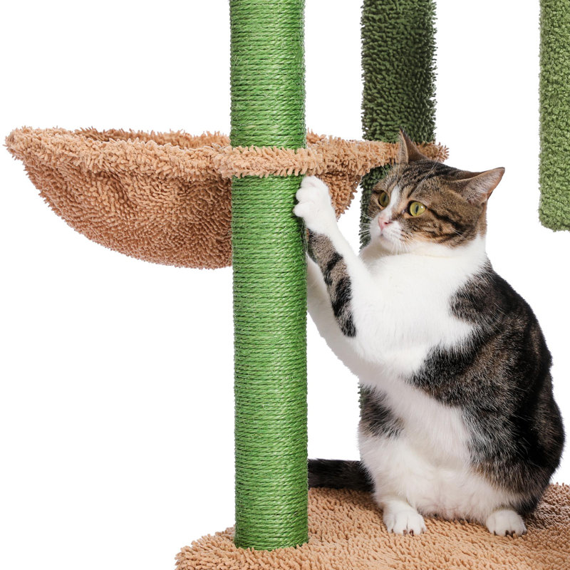 Arbre à chat d'intérieur Cactus