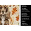 Serviette de cuisine tricolore Sheltie-2083472098