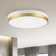 Hopeland Acrylic LED Flush Mount