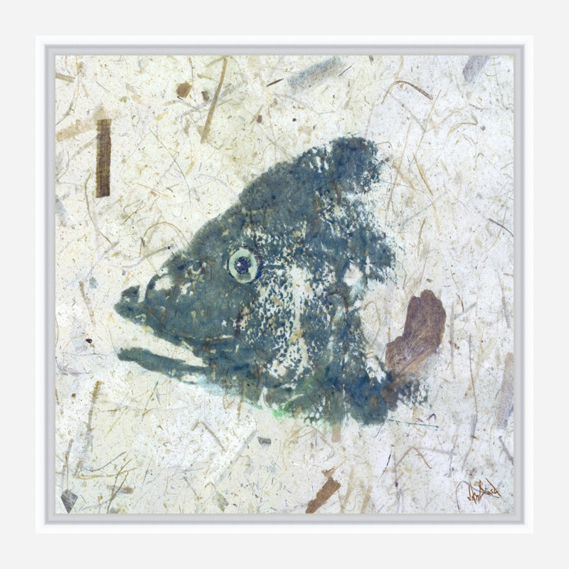 Snapper Blue By John Beard - Gallery Wrapped Canvas Print Print by John Beard, White Floater Framed, 22" H x 22" W x 2" D