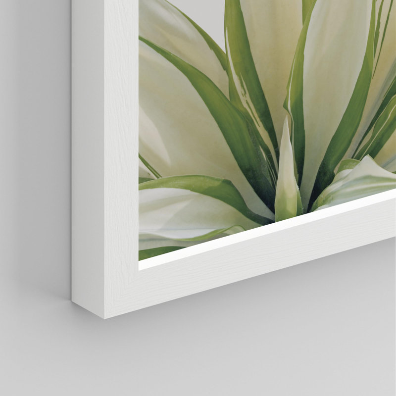 «Tropical Succulent Close Up Green Fan Leaf Desert» sur papier, Blanc, H 14 po x l 11 po