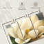 Fleur de magnolia Harnek sur fond gris-106046634