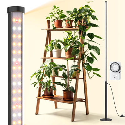 Barrina Grow Lights pour plantes d'intérieur avec support, zone d'éclairage large à large spectre de 42 W et 169 Leds, plante verticale autoportante T10, hauteur de 4 pi