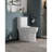 & Toilet, 1.1 And 1.6 , Ceramic, Elongated, White, Comfortable Kind 1.1/1.6 Ceramic Elongated Bowl, Height, Accredited Assembly