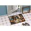 Paillasson Cavalier Spaniel-1846365313