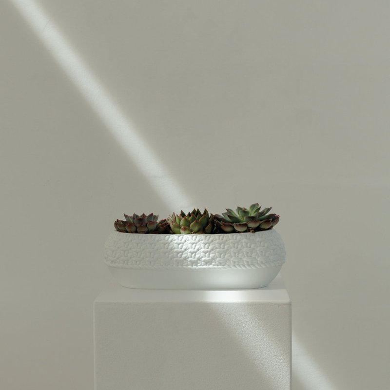 Knit Porcelain Oval Bowl / Tray