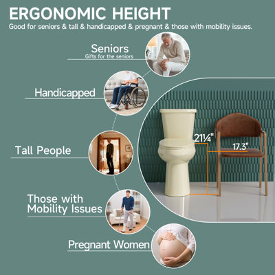17" ADA Height Elongated Two Piece Tall Toilet for Seniors, 1.1/1.6 GPF Tornado Dual Flush, MAP 1000g, Bone