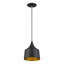 Luminaire suspendu Catrinia-121436241