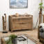 Carruth Solid Wood 120cm W 2 - Drawer Chest of Drawers