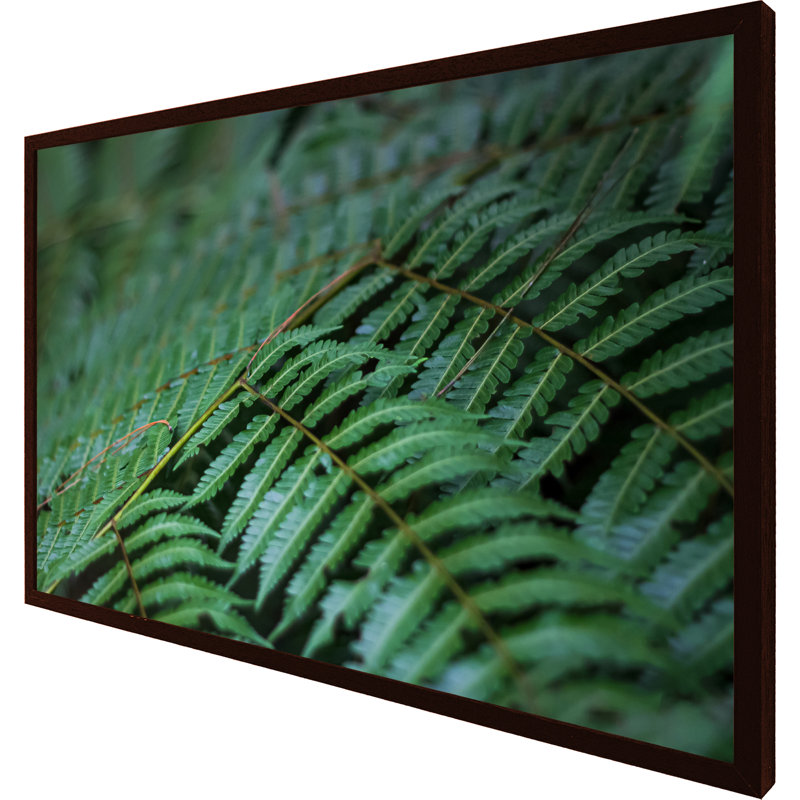 Virna Grren Leaves Pattern And Texture At Indonesia - Single Picture Frame Print, 76cm H x 114cm W x 4cm D, Brown Framed