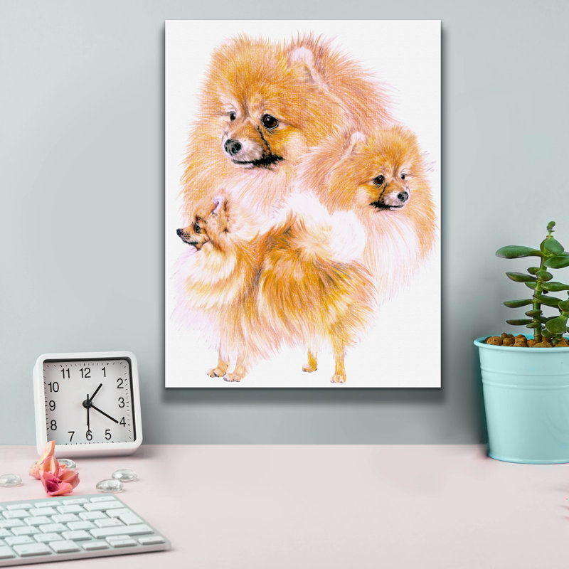 "Pomeranian" par Barbara Keith, H 16 po x l 12 po x P 0,75 po 