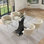 Ensemble de table de salle à manger rectangulaire moderne en verre trempé avec chaise en velours pour salle à manger Modern Luxtury