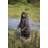 Growling Bear Standing Statue