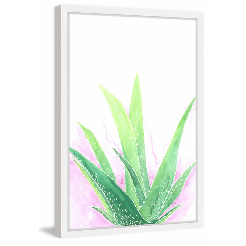 « agave », reproduction d’art encadrée, H 18 po x l 12 po