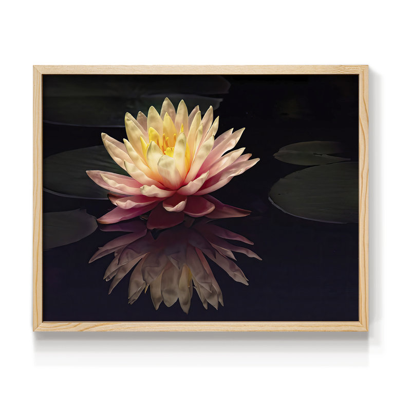 Photographie, étude, nénuphar, reproduction encadrée, Naturel, H 11 po x l 14 po