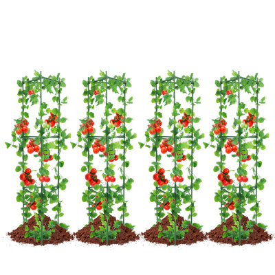 Plant Support